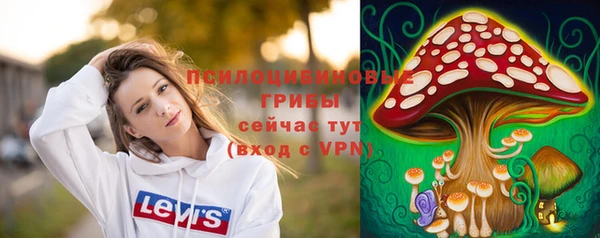 стаф Зеленодольск